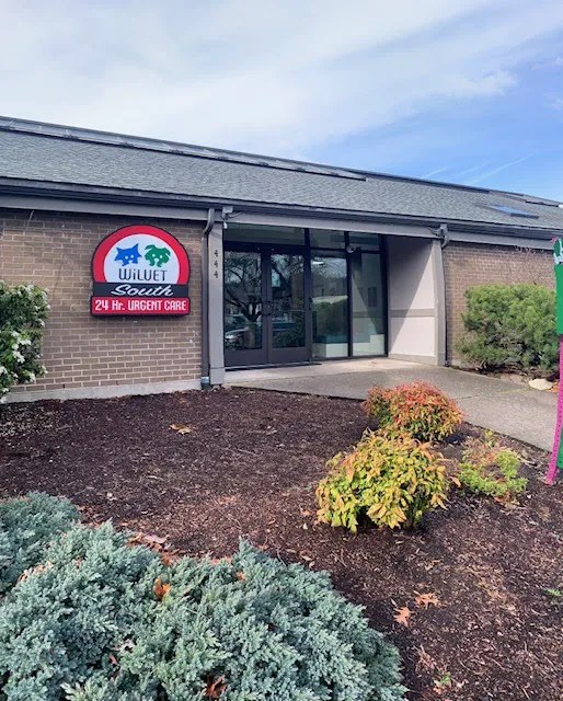 Main Street Spay Neuter- Low Cost Spay/Neuter & wellness Clinic 1