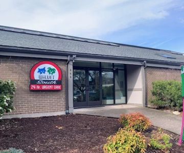 Main Street Spay Neuter- Low Cost Spay/Neuter & wellness Clinic