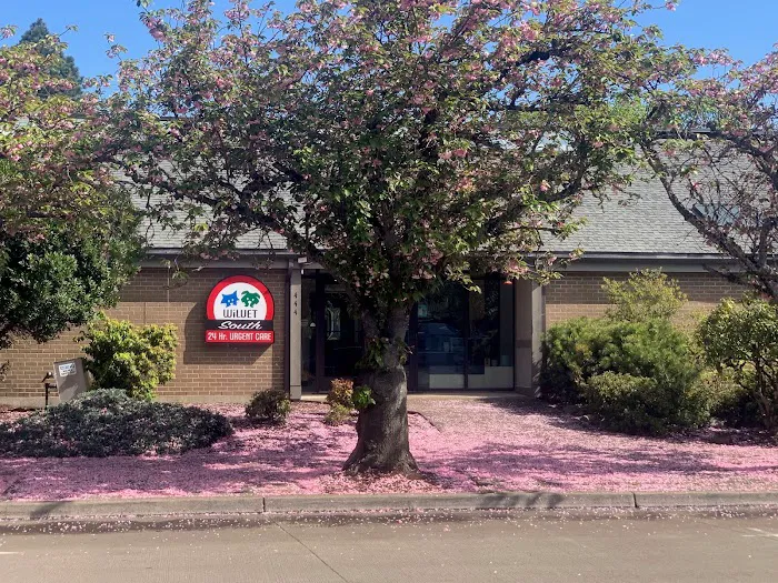 Main Street Spay Neuter- Low Cost Spay/Neuter & wellness Clinic 5