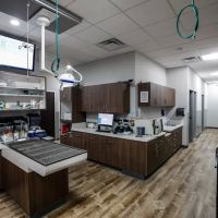 Mission Veterinary Clinic and Animal Emergency Hospital ico