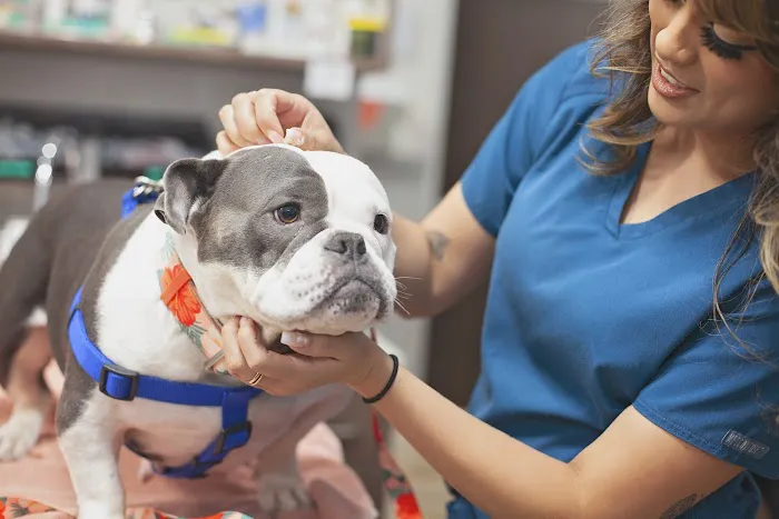 Mission Veterinary Clinic and Animal Emergency Hospital 3