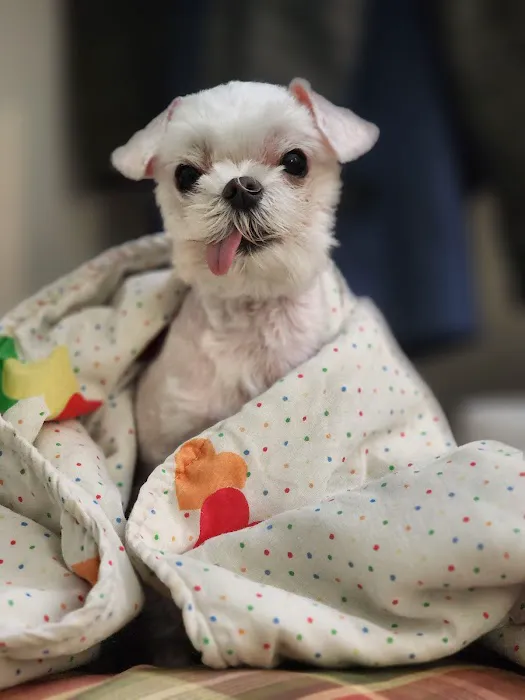 Mission Veterinary Clinic and Animal Emergency Hospital 8