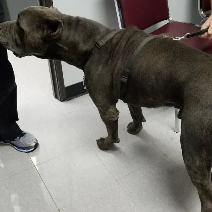 North Valley Veterinary Clinic 3