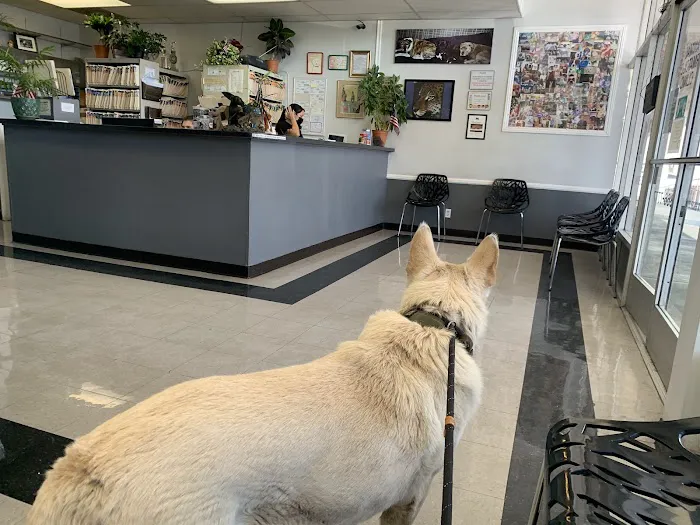 North Valley Veterinary Clinic 1