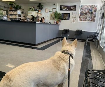 North Valley Veterinary Clinic