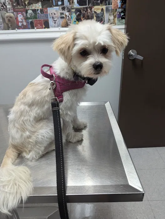 North Valley Veterinary Clinic 6