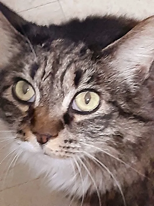 North Valley Veterinary Clinic 5