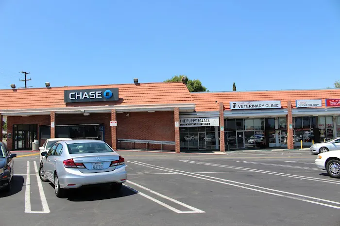 North Valley Veterinary Clinic 4
