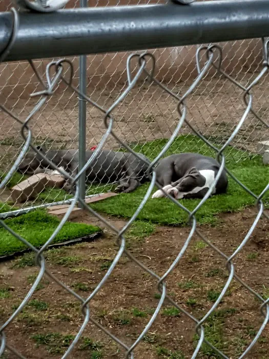 North Valley Veterinary Clinic 8