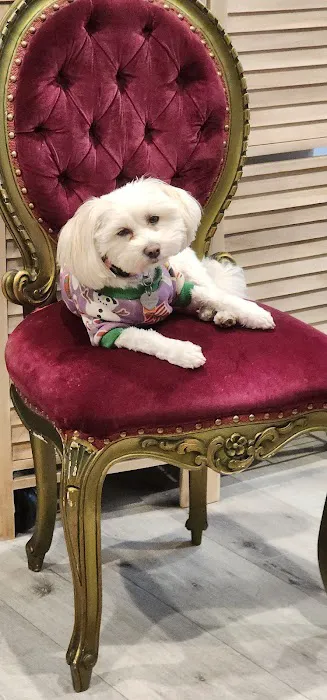 Balboa Veterinary Medical Center 4