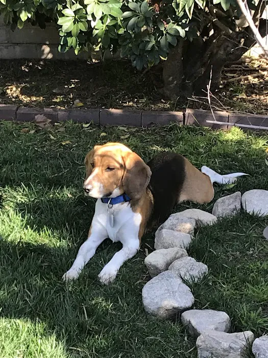 Balboa Veterinary Medical Center 8