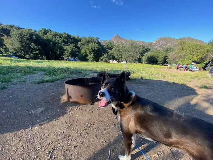 Balboa Veterinary Medical Center 9