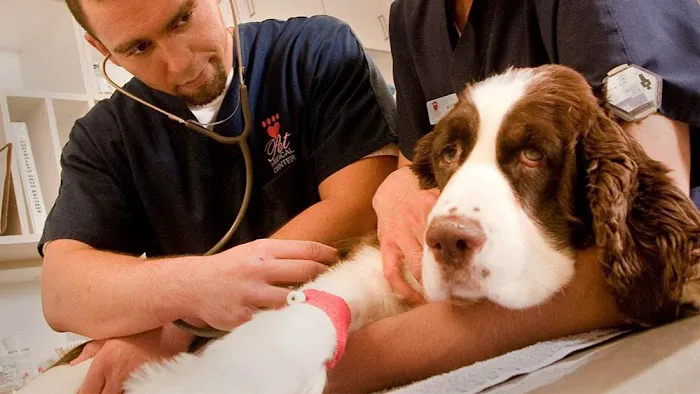 VCA Chatoak Animal Hospital 1