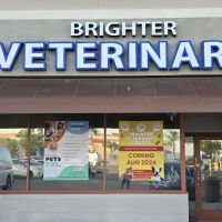 Brighter Veterinary Center ico