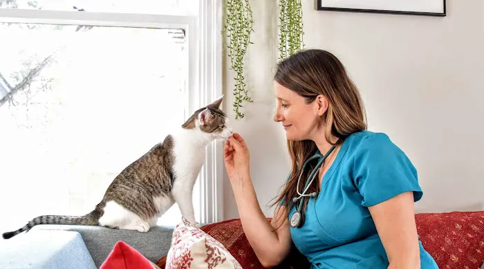Holistika Veterinary 1