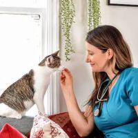Holistika Veterinary ico