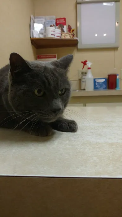Rosemont Veterinary Hospital 7
