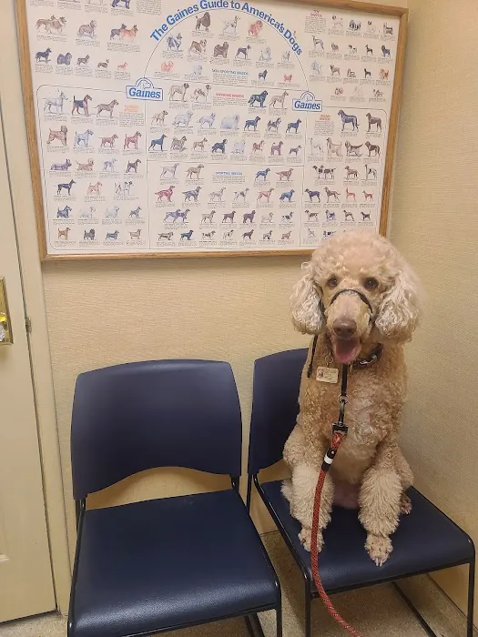 Rosemont Veterinary Hospital 8