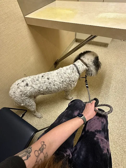 Rosemont Veterinary Hospital 5