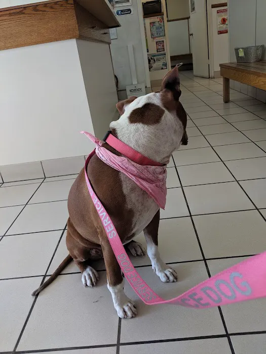 Hillcrest Pet Hospital 2