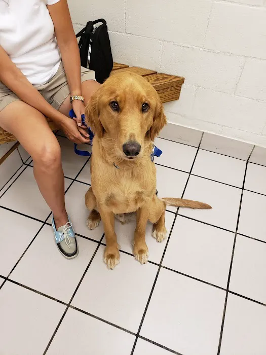 Hillcrest Pet Hospital 1