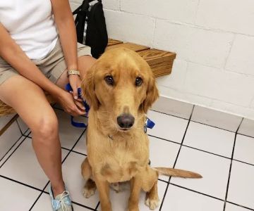 Hillcrest Pet Hospital