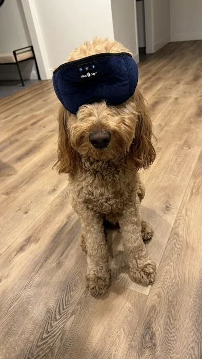Hillcrest Pet Hospital 5