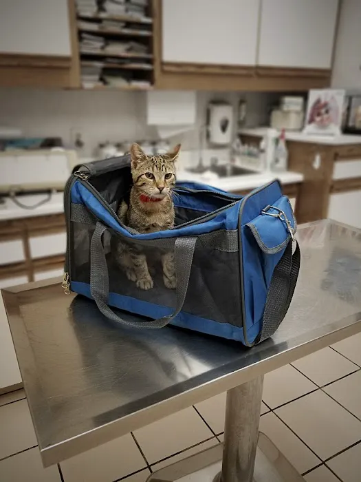 Hillcrest Pet Hospital 4