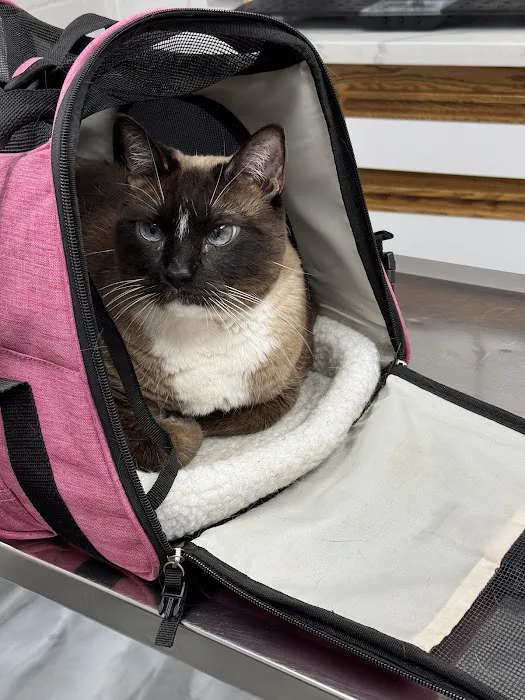 Hillcrest Pet Hospital 7