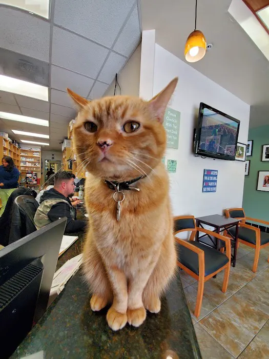 Montrose Pet Hospital 10