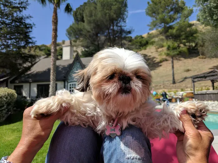 La Cañada Pet Clinic 7