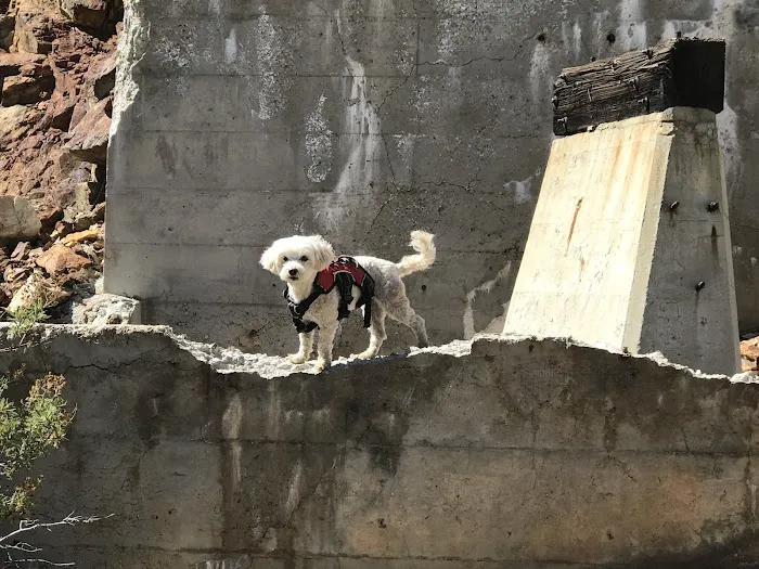 La Cañada Pet Clinic 6