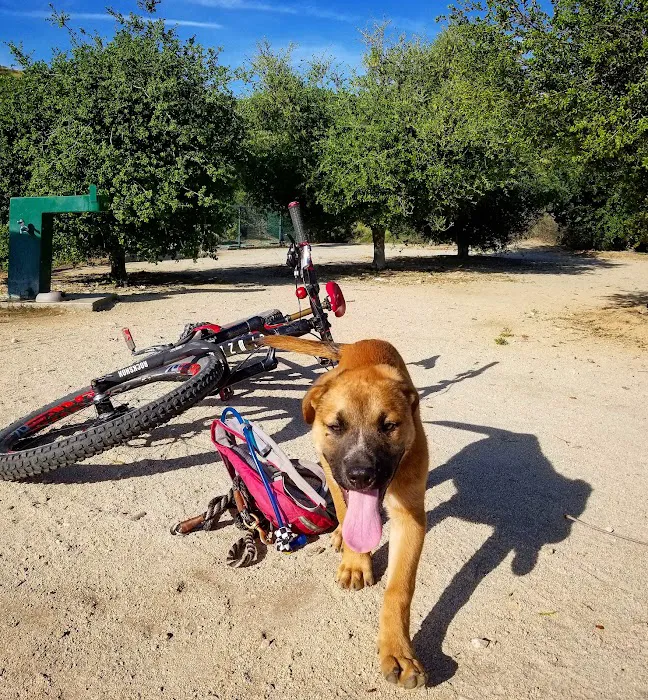 La Cañada Pet Clinic 8