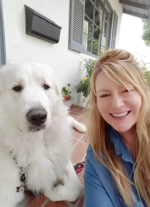 Northridge Pet Hospital 3