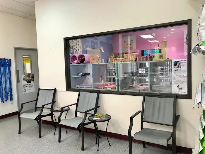 Porter Veterinary Center 7