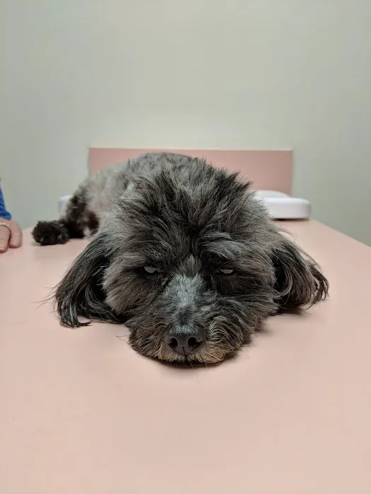 Northridge Animal Medical Center 5