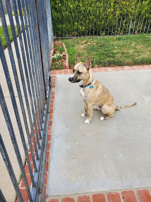 Northridge Animal Medical Center 8