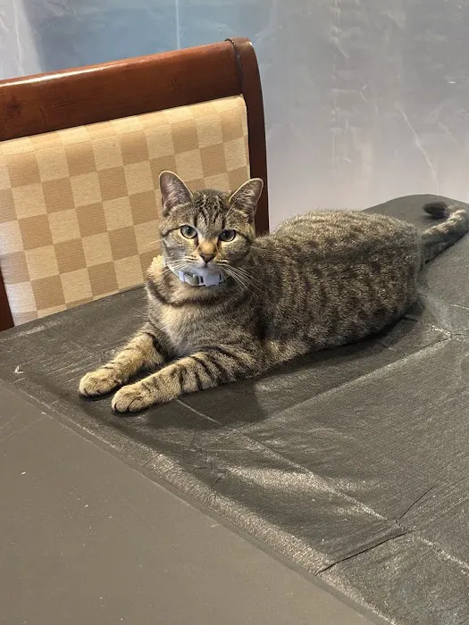 Northridge Animal Medical Center 7
