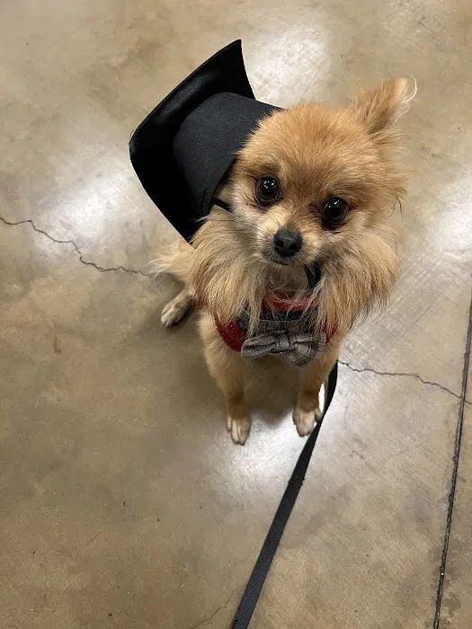 Northridge Animal Medical Center 2