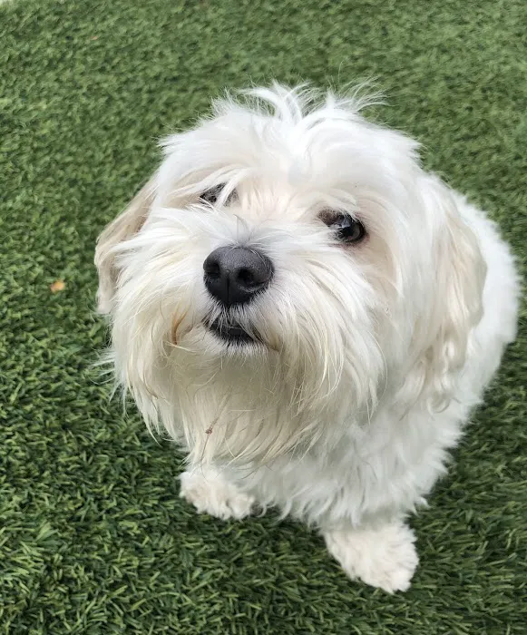 Northridge Animal Medical Center 3