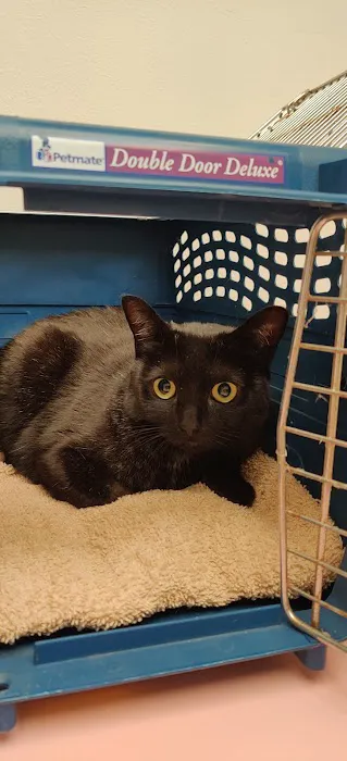 Northridge Animal Medical Center 1