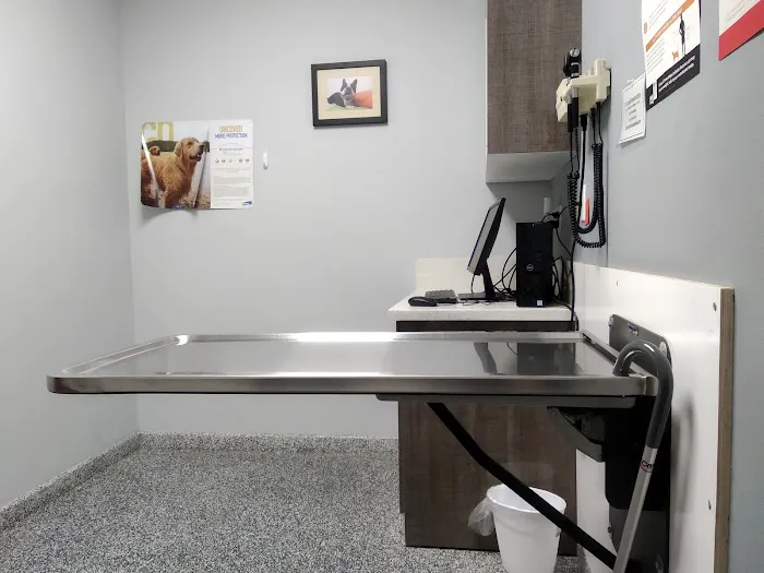 Pet Cure Veterinary Center 4