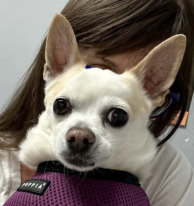 Pet Cure Veterinary Center 8
