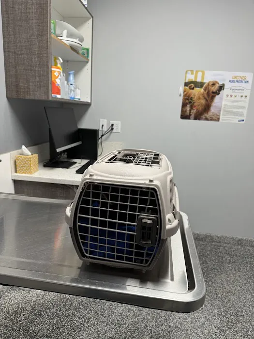 Pet Cure Veterinary Center 3