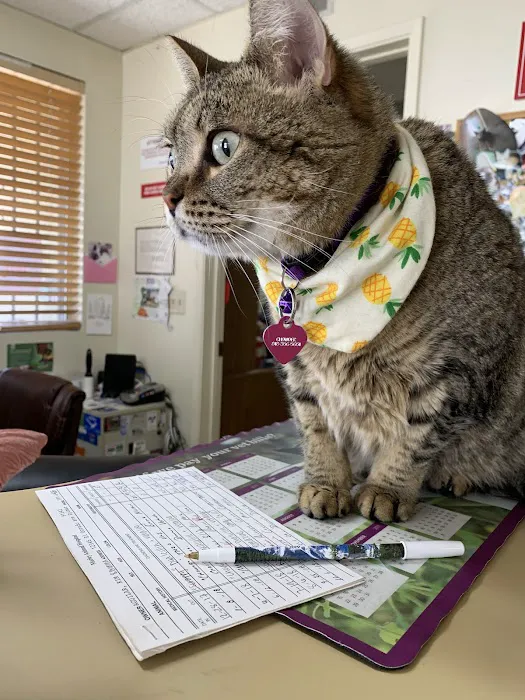 Morley Animal Hospital 2