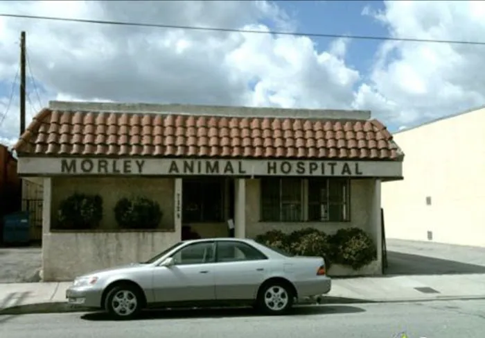 Morley Animal Hospital 9