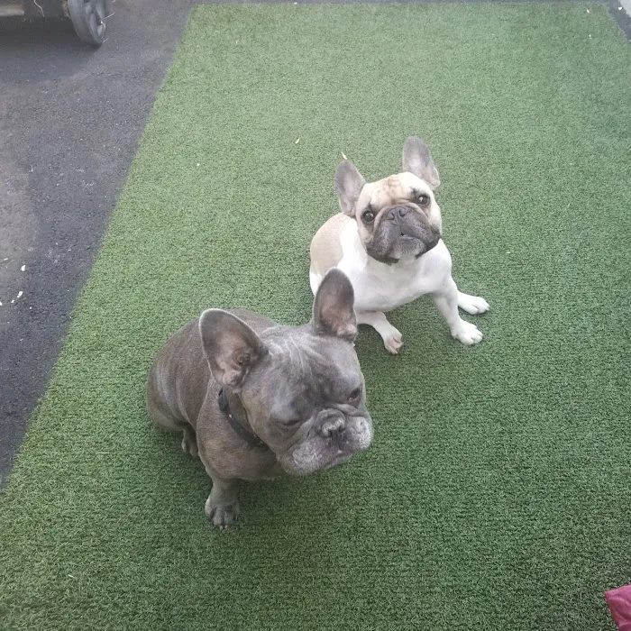 Morley Animal Hospital 8