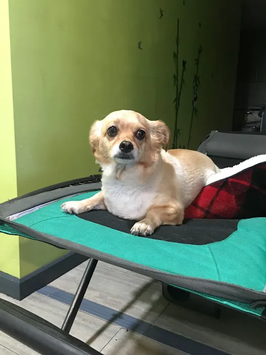 Morley Animal Hospital 5