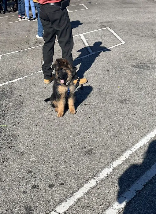 Low Cost Pet Vaccines of Los Angeles - One Generation Parking Lot 8