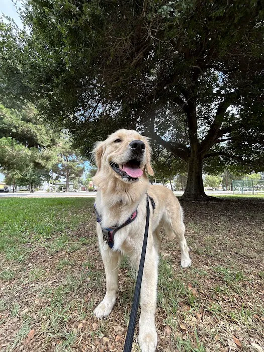 Low Cost Pet Vaccines of Los Angeles - One Generation Parking Lot 9